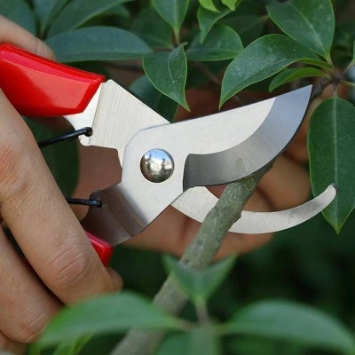 brúsenie záhradných nožníc